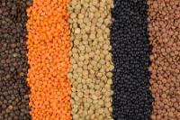 Love Those Lentils!