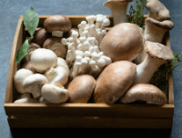 Fabulous Fungi? The Nutritional Benefits of Mushrooms