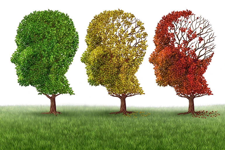 Dementia and Alzheimer’s Prevention and Treatment can be beneficial to a better life.