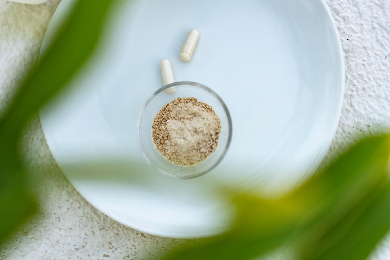 What Happens in Your Gut Doesn’t Stay in Your Gut: How Gut Health Impacts Your Entire Body
