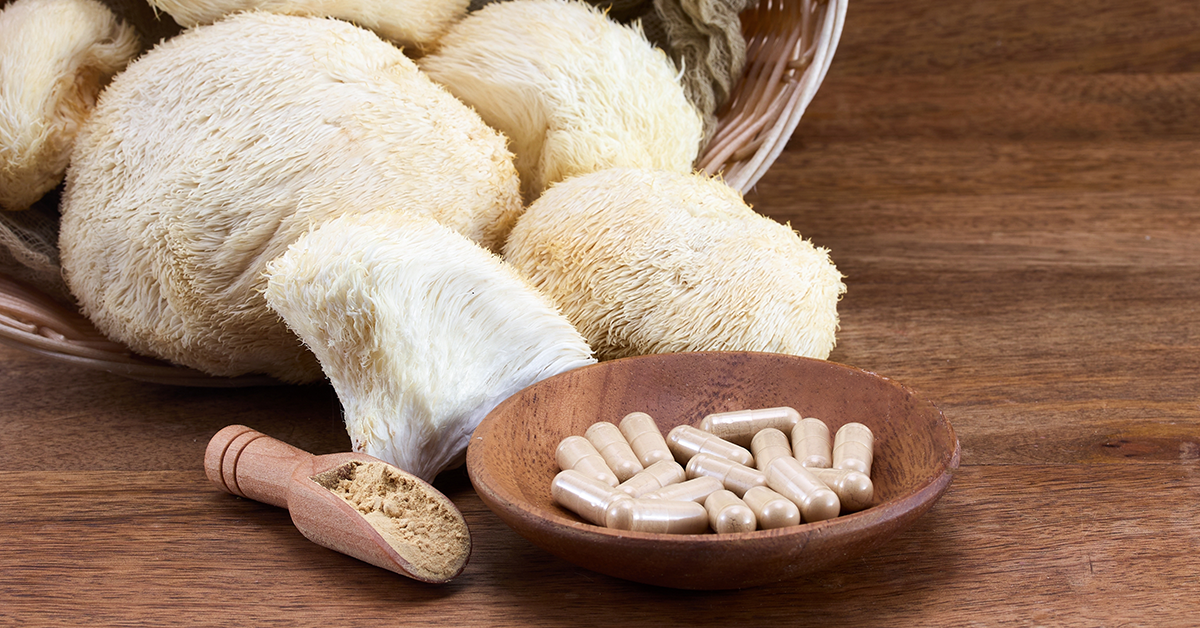 A Beginner’s Guide to Functional Mushrooms: Benefits, History, and How to Use Them 